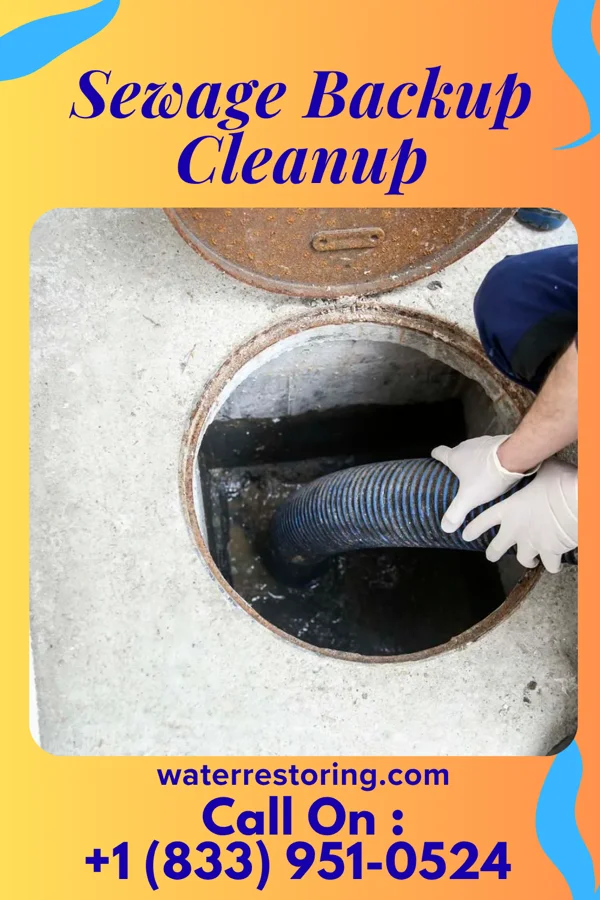 Sewage Backup Cleanup in Shawnee, OK